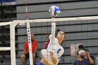 VB vs WSU  Wheaton Women's Volleyball vs Worcester State University. - Photo by Keith Nordstrom : Wheaton, Volleyball